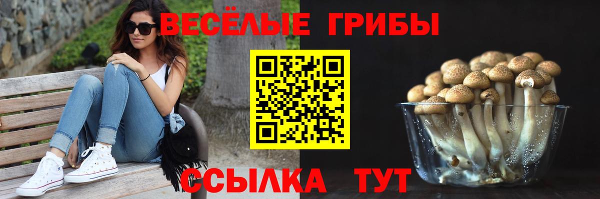Галлюциногенные грибы Psilocybe  купить  сайты  Пыть-Ях  Вход с VPN 